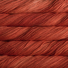 Carica l'immagine nel visualizzatore di Gallery, Malabrigo RIOS