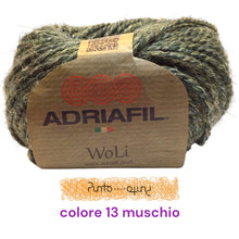 Carica l'immagine nel visualizzatore di Gallery, Adriafil WoLi - eco yarn