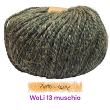 Carica l'immagine nel visualizzatore di Gallery, Adriafil WoLi - eco yarn