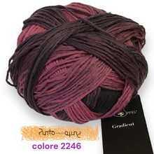 Carica l'immagine nel visualizzatore di Gallery, Schoppel GRADIENT