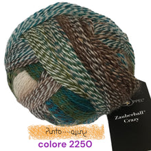 Carica l'immagine nel visualizzatore di Gallery, Schoppel ZAUBERBALL CRAZY