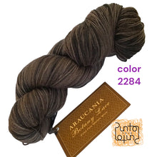 Carica l'immagine nel visualizzatore di Gallery, Araucania BOTANY LACE